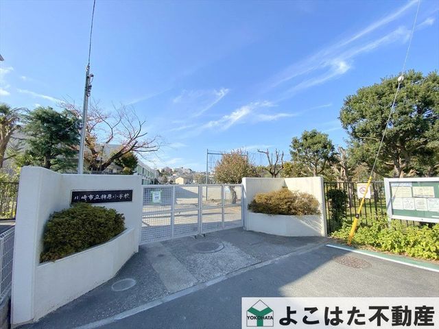 �_�ސ쌧���s�{�O�撪���� �̒��Ã}���V�����̎��ӊ�